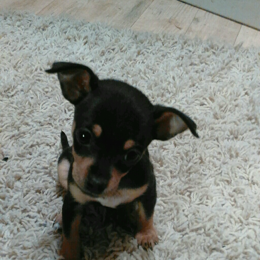 Meet your Posher, Charlene